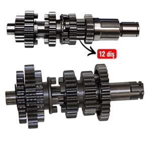 ŞANZUMAN DİŞLİSİ KOMPLE KUBA ÇITA İTHAL